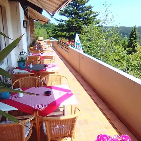 Panoramablick Hotel Gorwihl