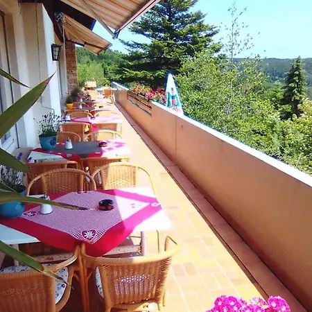 ホテル Panoramablick 2*