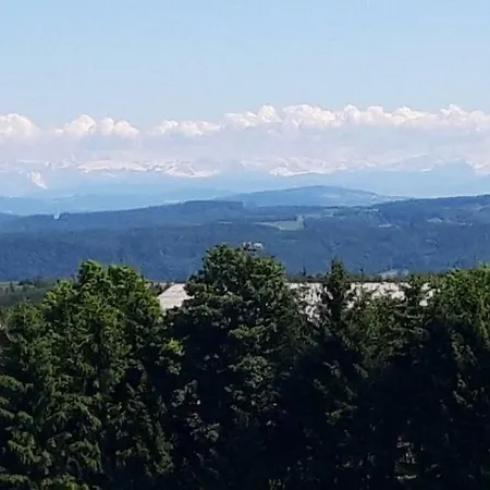 Panoramablick Hotel Gorwihl